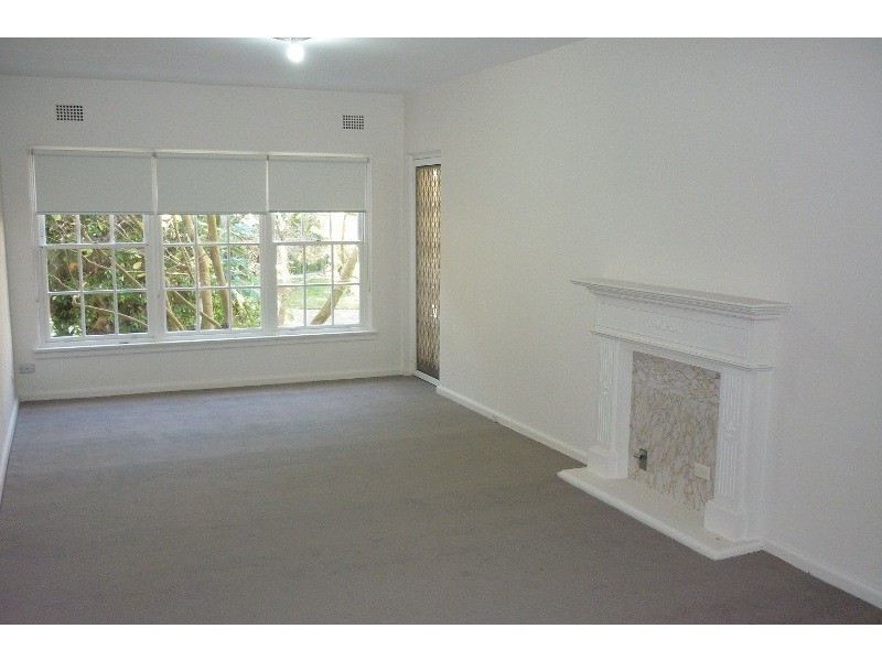 3/50B Ocean Street, Woollahra NSW 2025