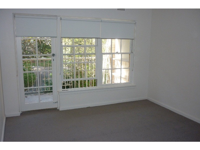 3/50B Ocean Street, Woollahra NSW 2025