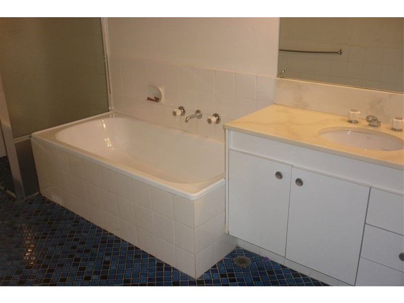 11/37 Paul Street, Bondi Junction NSW 2022