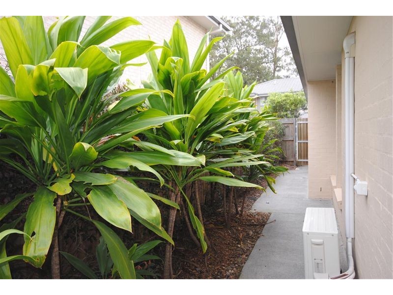 1/175 Fryar Road, Eagleby QLD 4207