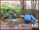 17 Marlow Street, Woodridge QLD 4114