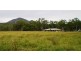 221 Tooker Road, Cawarral QLD 4702
