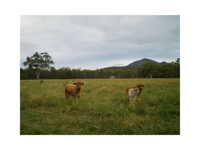 221 Tooker Road, Cawarral QLD 4702