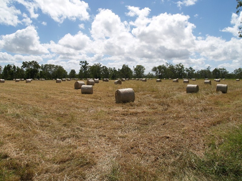 402 Laurel Bank Road, Alton Downs QLD 4702