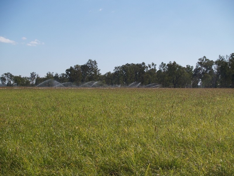 402 Laurel Bank Road, Alton Downs QLD 4702