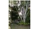 10 Henry Street, The Range QLD 4700