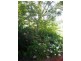 Gracemere QLD 4702