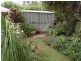 308 Thozet Road, Frenchville QLD 4701