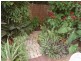 308 Thozet Road, Frenchville QLD 4701