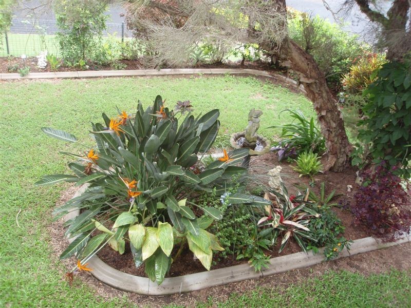 334 Balaclava Street, Frenchville QLD 4701