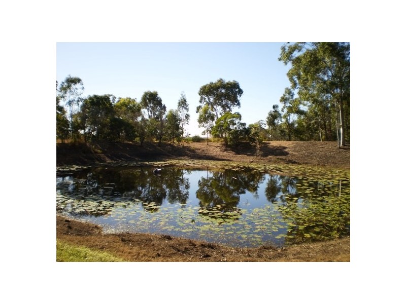 58 Budarick Road, Cawarral QLD 4702