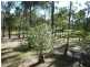 58 Budarick Road, Cawarral QLD 4702
