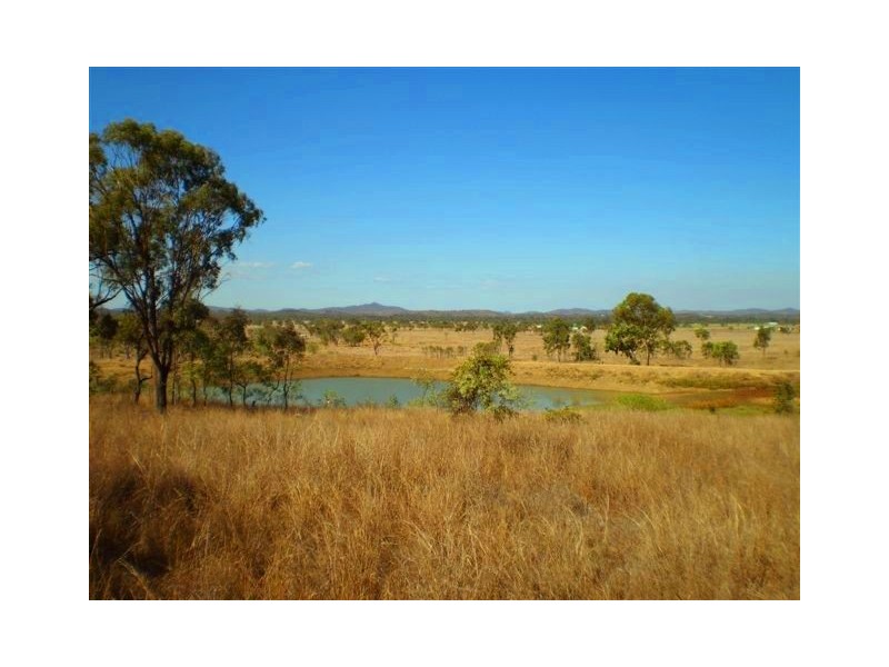 20 Petersen Road, Alton Downs QLD 4702