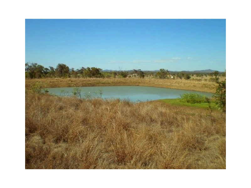 20 Petersen Road, Alton Downs QLD 4702