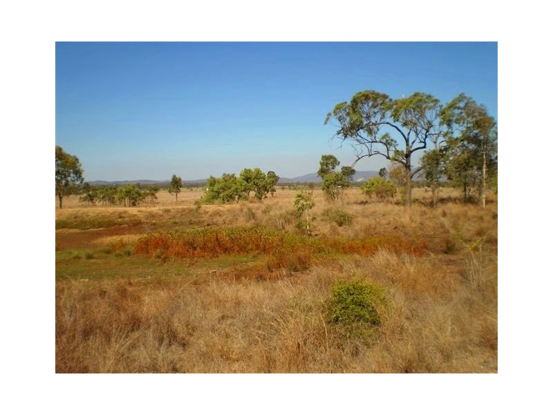 20 Petersen Road, Alton Downs QLD 4702