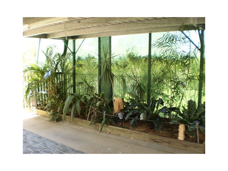 3 Bondeson Drive, Parkhurst QLD 4702