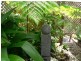 42 Kellow Street, The Range QLD 4700