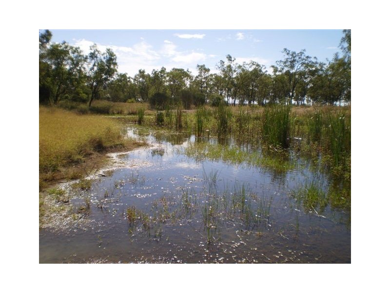 Lot 1 Toonda Port Alma Road, Marmor QLD 4702