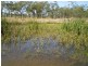 Lot 1 Toonda Port Alma Road, Marmor QLD 4702