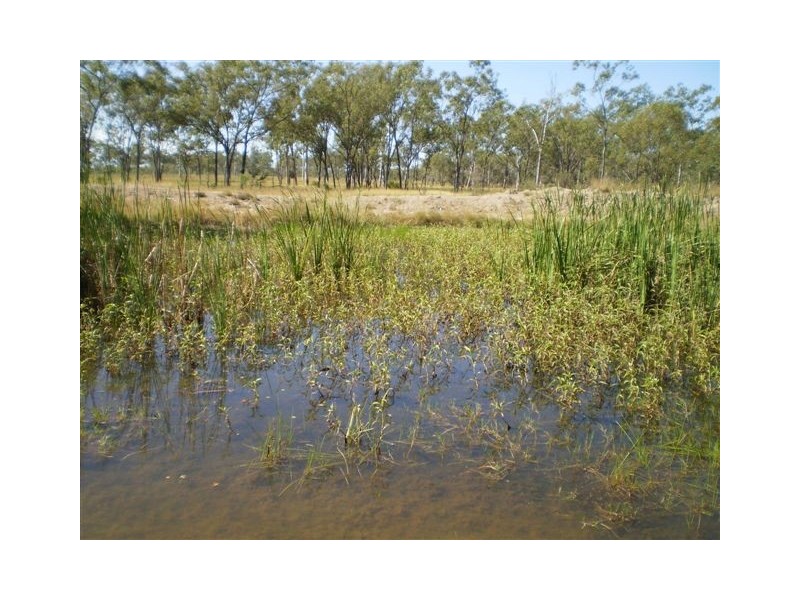 Lot 1 Toonda Port Alma Road, Marmor QLD 4702