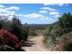 77 Sneddon Road, Limestone Creek QLD 4701