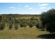 77 Sneddon Road, Limestone Creek QLD 4701