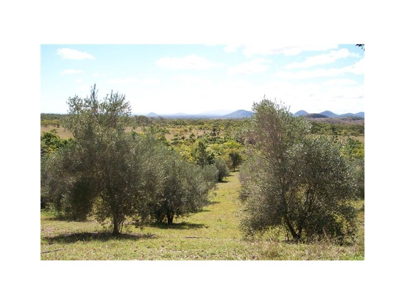 77 Sneddon Road, Limestone Creek QLD 4701