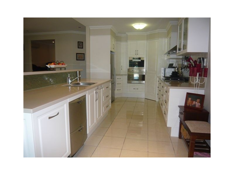 21 Treefern Terrace, Frenchville QLD 4701