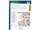 . Chatterton Park Estate, Gracemere QLD 4702