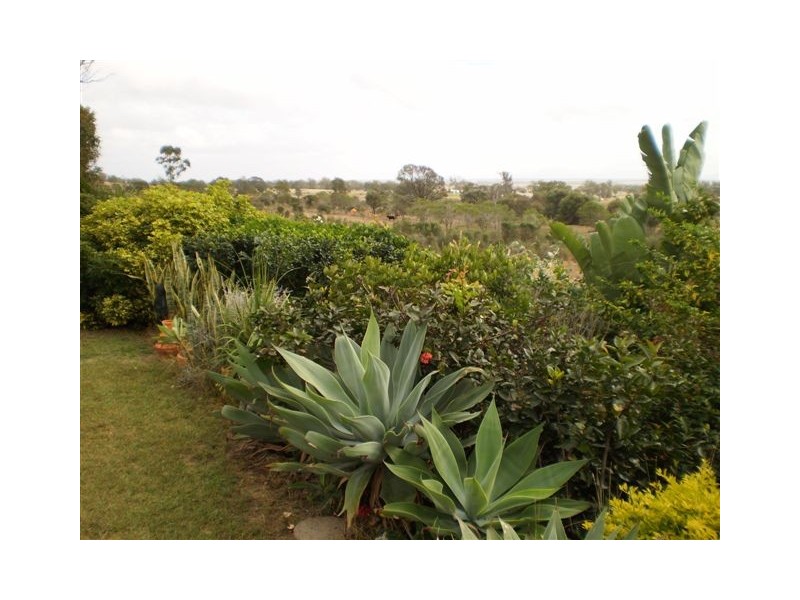 213 Marmor Road, Marmor QLD 4702