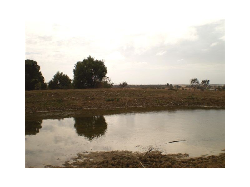 213 Marmor Road, Marmor QLD 4702