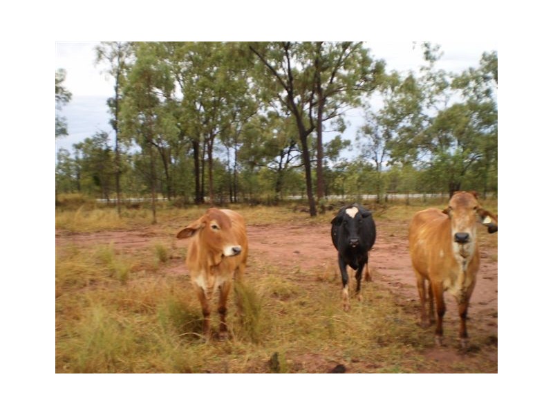 . Capricorn Highway, Duaringa QLD 4712