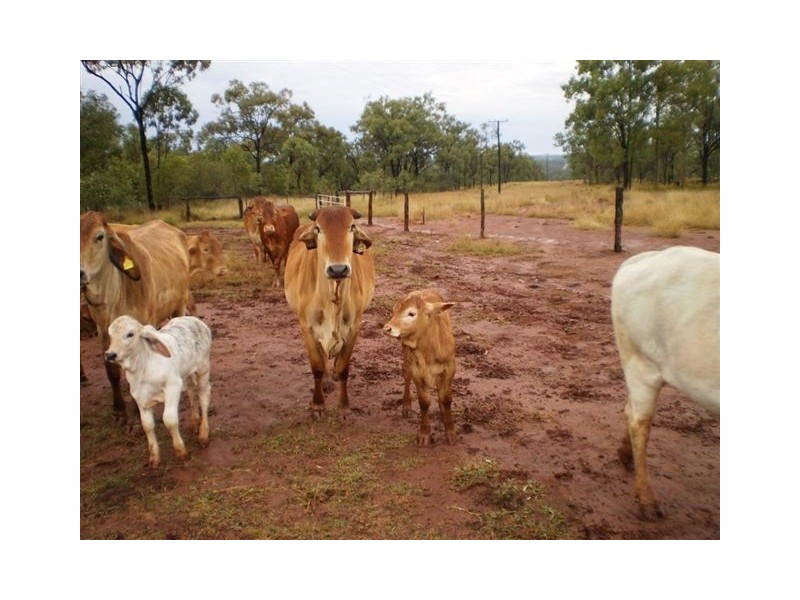 . Capricorn Highway, Duaringa QLD 4712