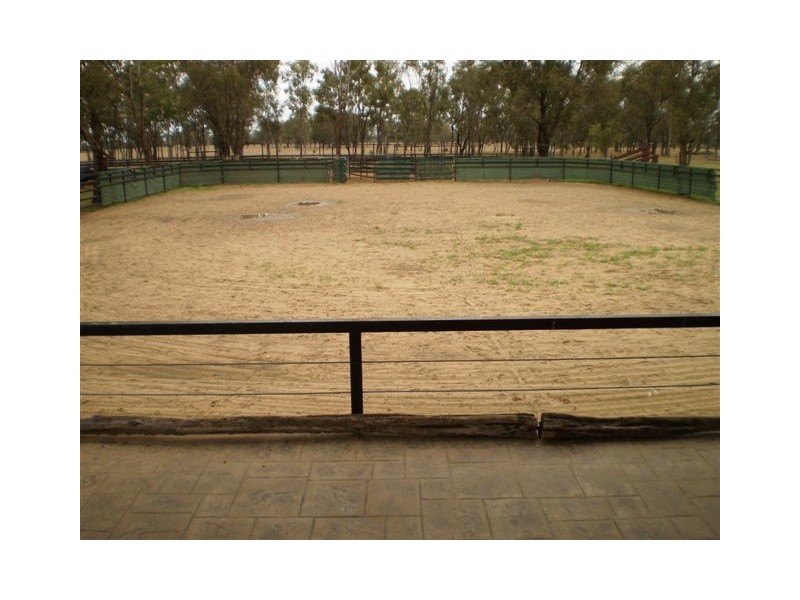 180 Pink Lily, Pink Lily QLD 4702