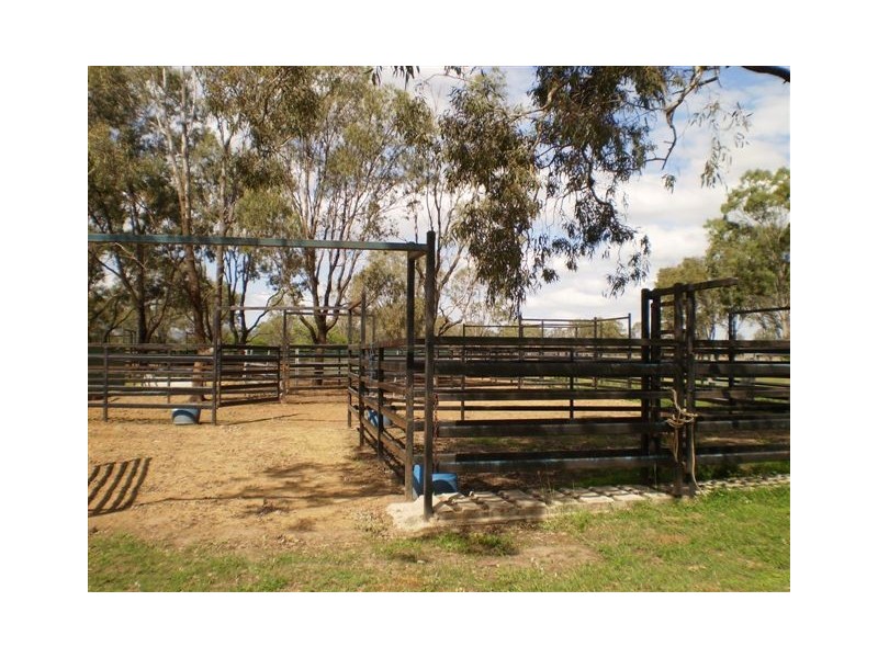 180 Pink Lily, Pink Lily QLD 4702