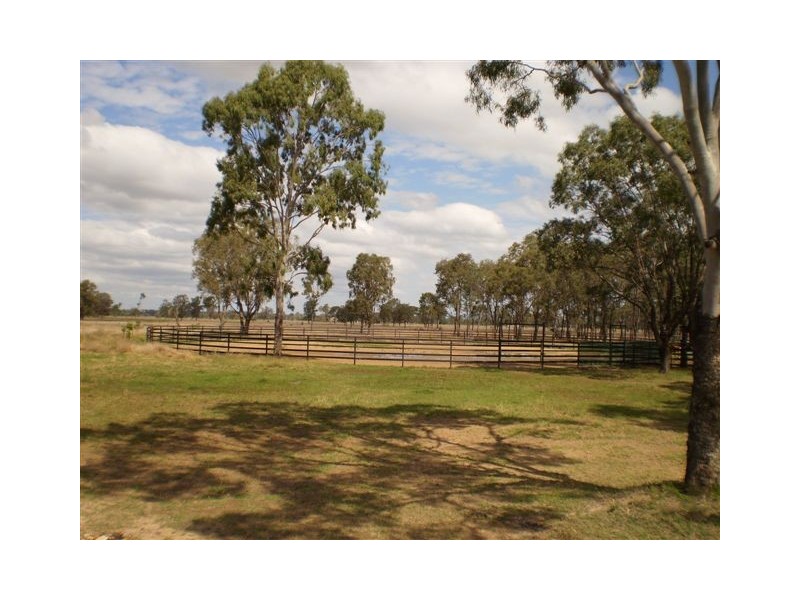 180 Pink Lily, Pink Lily QLD 4702