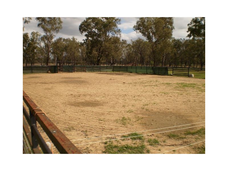 180 Pink Lily, Pink Lily QLD 4702