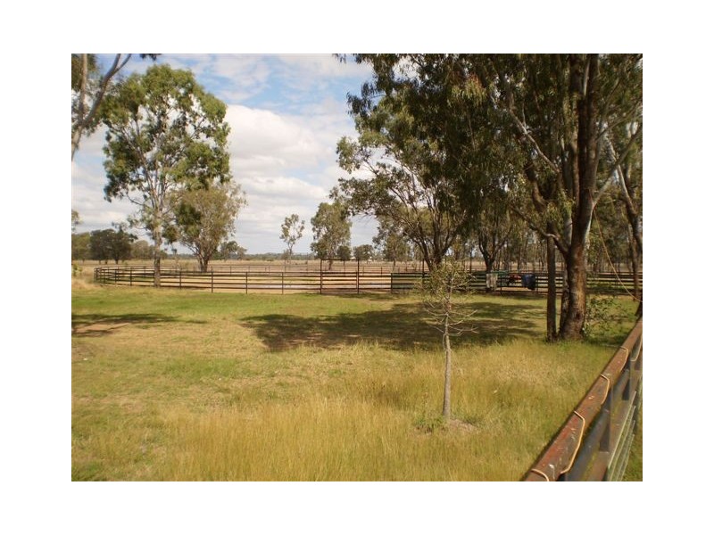 180 Pink Lily, Pink Lily QLD 4702