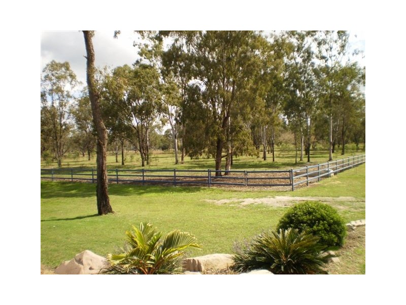 180 Pink Lily, Pink Lily QLD 4702