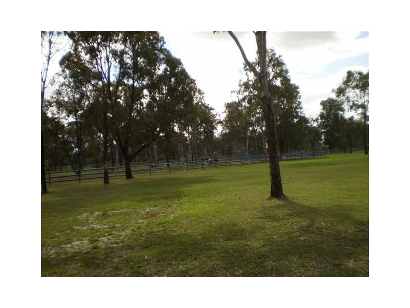 180 Pink Lily, Pink Lily QLD 4702