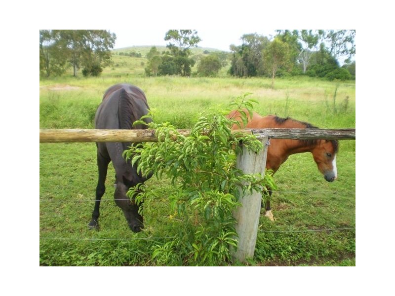 125 Auton & Johnsons Road, The Caves QLD 4702