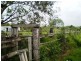 125 Auton & Johnsons Road, The Caves QLD 4702