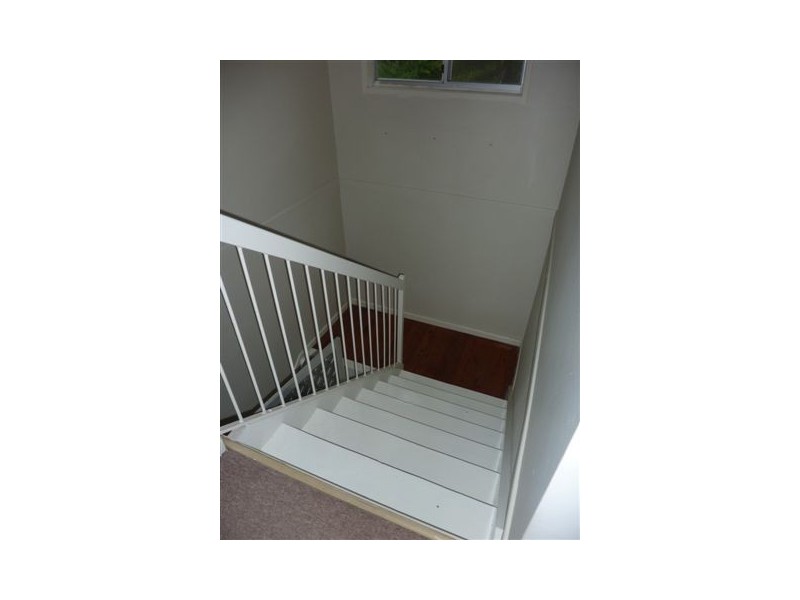 591 Ibis Avenue, Kawana QLD 4701