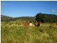 Level L1 1649 Atkinson Road, Canoona QLD 4702