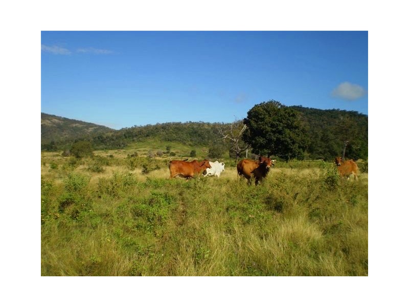 Level L1 1649 Atkinson Road, Canoona QLD 4702