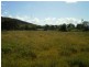 Level L1 1649 Atkinson Road, Canoona QLD 4702