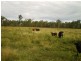 950 Upper Ulam Road, Bajool QLD 4699
