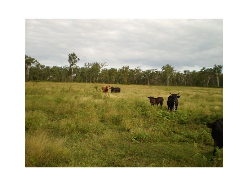 950 Upper Ulam Road, Bajool QLD 4699