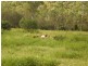 950 Upper Ulam Road, Bajool QLD 4699