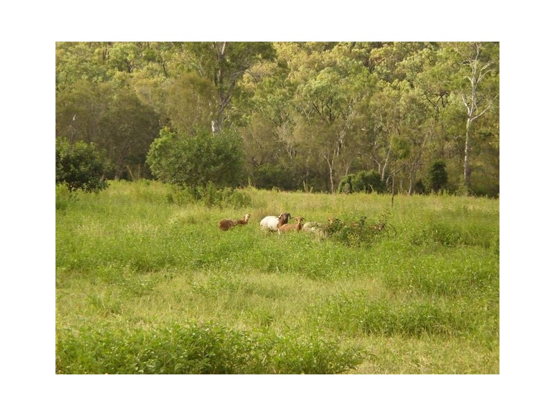 950 Upper Ulam Road, Bajool QLD 4699